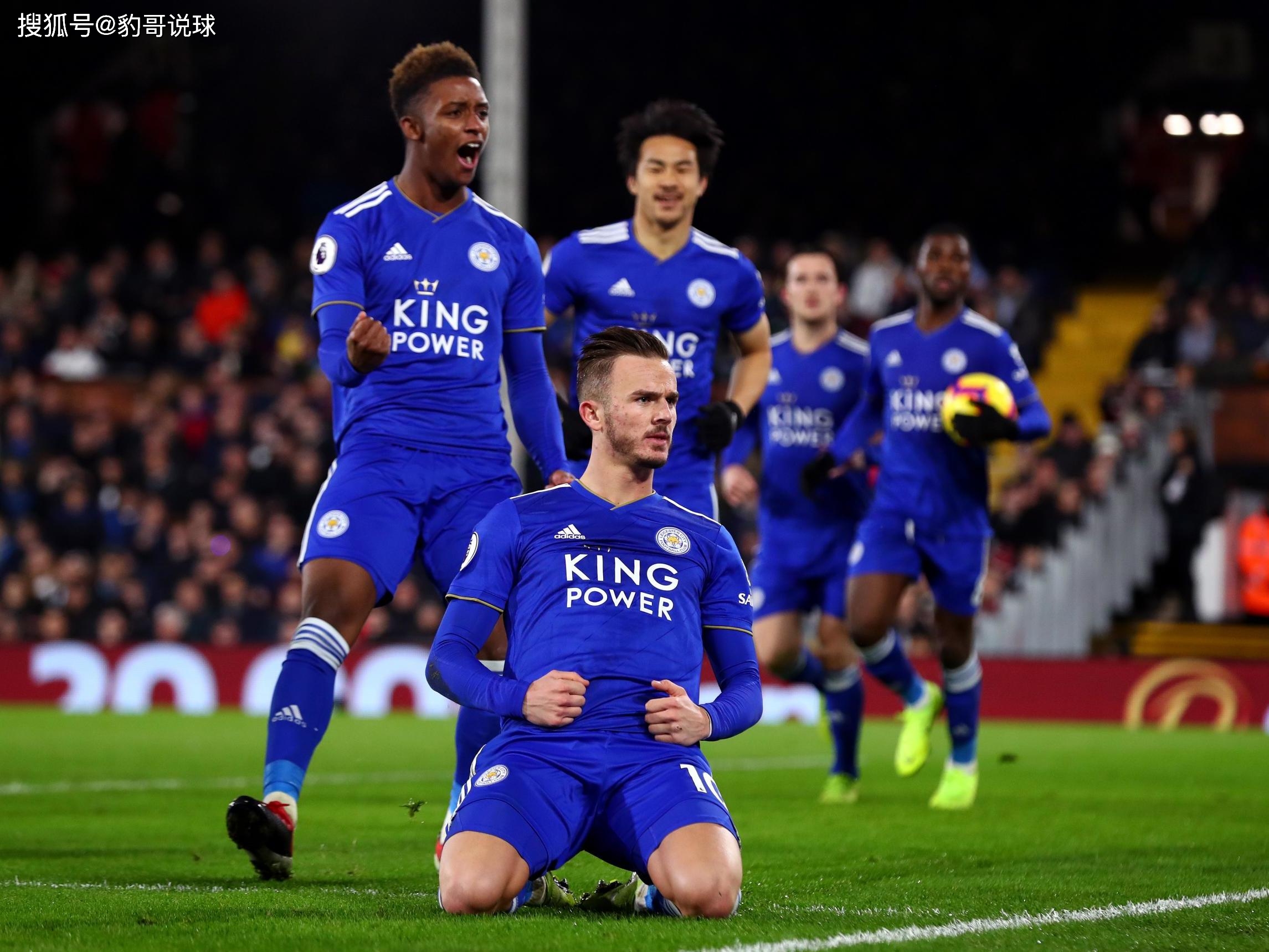 和观赏性 和观赏性